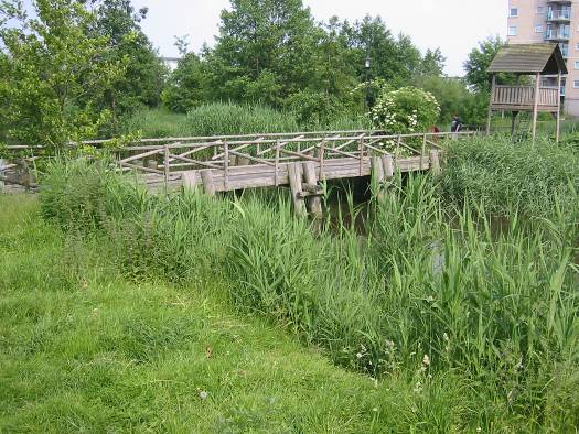 image005
